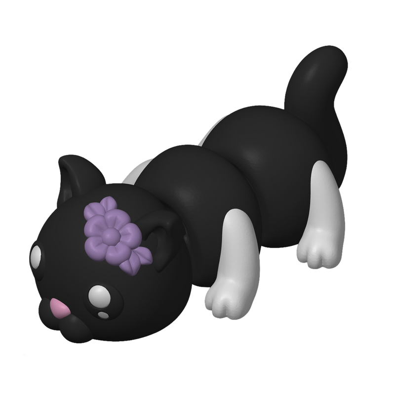 Loricat Whisper